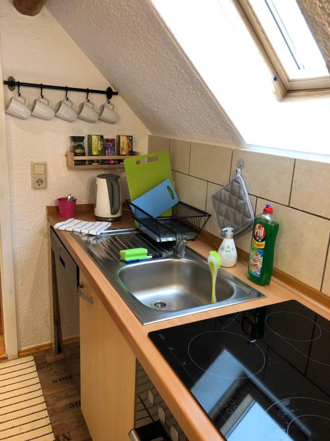 Vila Saidenbachhaus Grosshartmannsdorf Exteriér fotografie