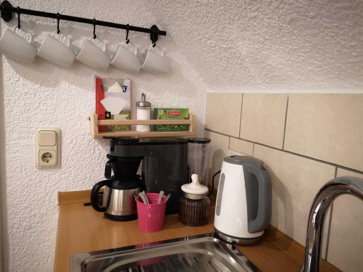 Vila Saidenbachhaus Grosshartmannsdorf Exteriér fotografie