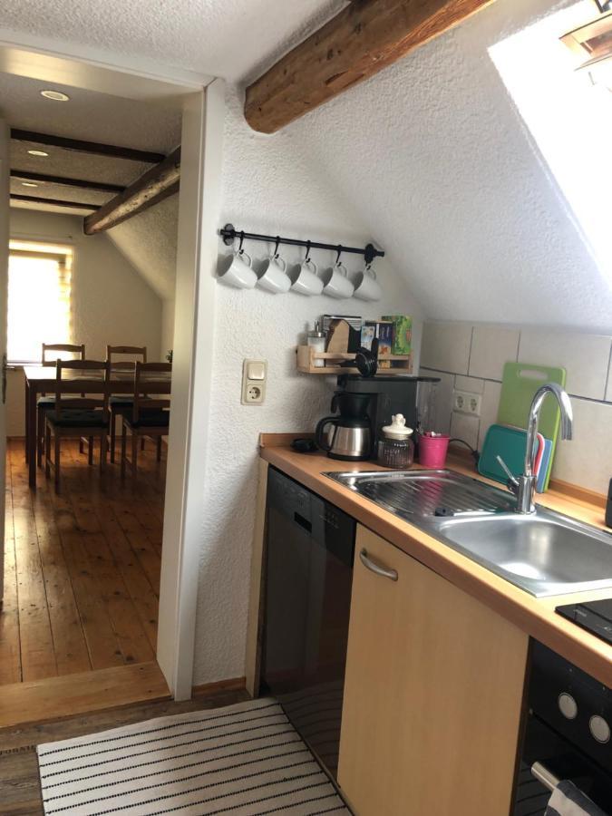 Vila Saidenbachhaus Grosshartmannsdorf Exteriér fotografie