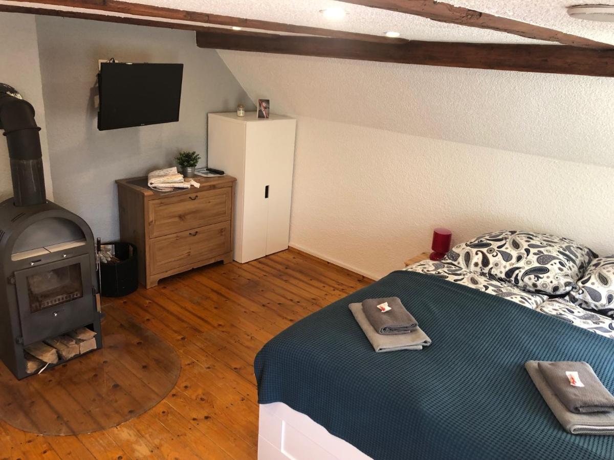 Vila Saidenbachhaus Grosshartmannsdorf Exteriér fotografie